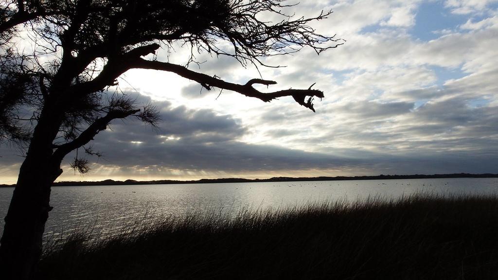 Hotel Australind Tourist Park Exteriér fotografie